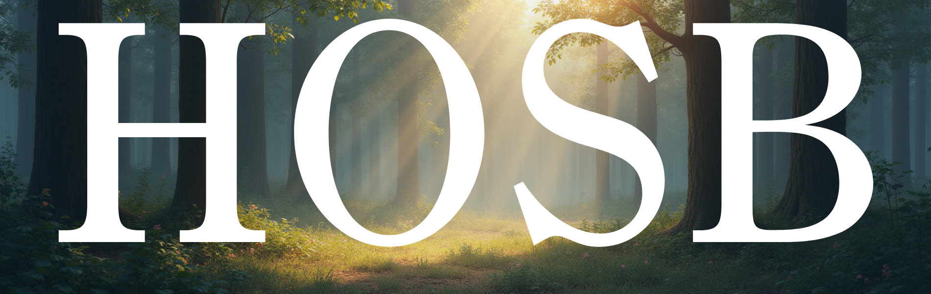 ベンダーエージェント